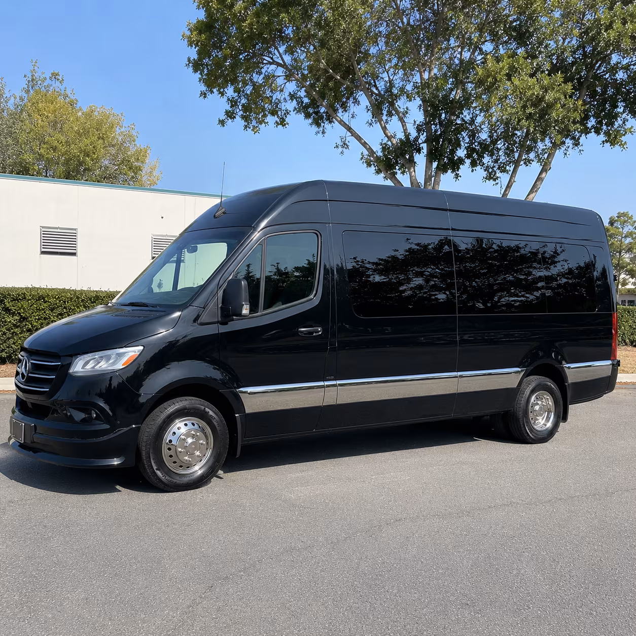 greensboro 18 passenger sprinter van