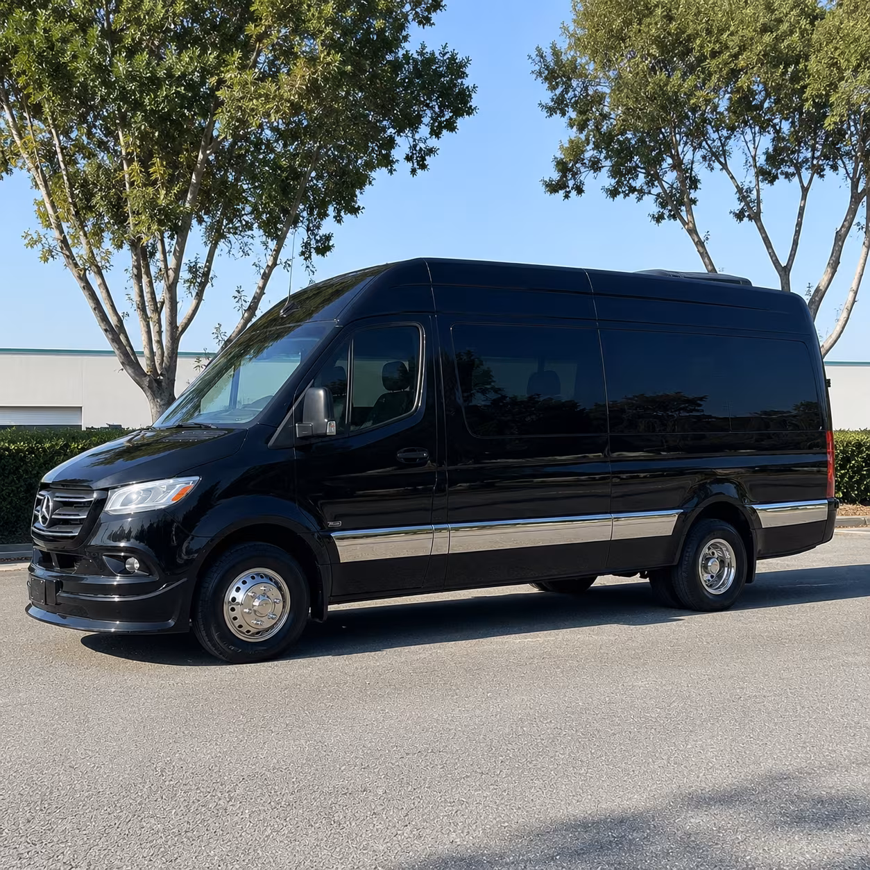 sprinter van options for greensboro trips
